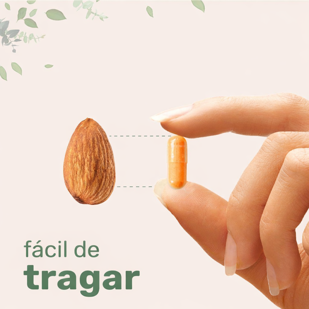 TURMERIC CÚRCUMA